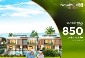 Chào Đón Năm Mới Nova World Phan Thiết PGA golf Villa