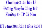 Cho thuê 2 căn liền kề Đường Nguyễn Công Trứ, Phường 8, TP Cà Mau, Tỉnh Cà Mau