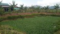 Bán đất chính chủ thôn 9 - Đại Lào Thành phố Bảo Lộc
