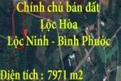 Chính chủ bán đất Lộc Hòa, Lộc Ninh, Bình Phước