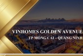 Dự án Vinhomes Golden Avenue cầu Bắc Luân, TP Móng Cái, tỉnh Quảng Ninh
