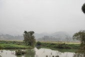 Cần bán 3.414m2 đất ở view suối tuyệt đẹp tại Tân Lạc, Hòa Bình