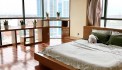 Cho thuê căn hộ cao cấp TD Plaza, Parkson Lê Hồng Phong, Hải Phòng. 2p ngủ, 184m2 LH 0904282860