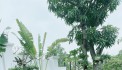 Villa 3 mặt tiền tại Đảo Ngọc Tuần Châu - Hạ Long - Quảng Ninh