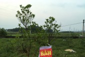 Cần bán nhanh lô đất tại Khu Non Trang – Thôn Xuâ Phong – Xã Chu Điện – Huyện Lục Nam – Tỉnh Bắc Giang
