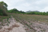 Cần tiền ra gấp mảnh đất Tân Tiến, La Gi , Bình Thuận