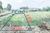 Ngộp ra lô đất thổ ngay Chợ Đào giá chỉ 5tr8/m2