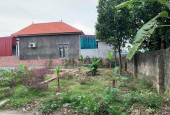 Cần bán nhanh lô đất Thôn 3 – xã Cao Nhân – Huyện Thuỷ Nguyên – Thành Phố Hải Phòng