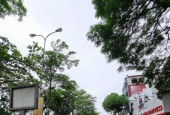 Phân lô - Vỉa hè - Ô tô chạy vòng quanh - Kinh doanh đỉnh - Nguyễn Hữu Thọ - View Hồ Linh Đàm, 50m x 5T, MT 4,5m, 9,3 tỷ - 0928077333