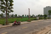 Bán đất đấu giá Vườn Đào Đông Anh Hà Nội