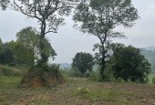 Bán 1.206m2 đất thổ cư view vị trí đẹp tại Lương Sơn, Hòa Bình