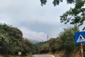 Bán 1800m2 đất Phú Cường, Tân Lạc, Hòa Bình giá nhỉnh 1 tỷ 300m ra đường quốc lộ