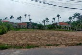 Chính chủ cần bán nhanh lô đất Tại Xã Hải Triều - Hải Hậu - Nam Định