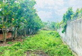 Đất đẹp giá rẻ tại đường Nguyễn Văn Khạ, xã Tân An Hội, huyện Củ Chi