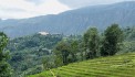 CLICK..RINH NGAY MẢNH ĐẤT Y TÝ( SAPA2), GÓC VIEW TRIỆU ĐÔ LÀM HOMESTAY ĐẸP XUẤT SẮC