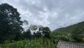 Bán mảnh đất 450m2 thuộc thôn Mò phú chải, xã Y tý, Bát Xát, Lào Cai. View thung lũng