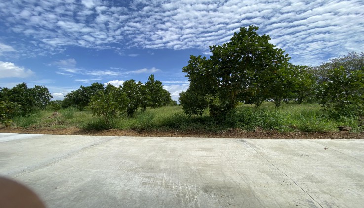 Mở bán 20 lô đất vườn view hồ mặt đường bê tông 5m, SHR, giá F0, tặng ngay vườn điều, mít, 1 năm chăm sóc cây