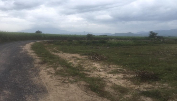 bán 2.5ha đất bám đường nhiều đường lớn Ninh Tây Ninh Hoà lh 0395287569 Vân Xynk