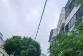 Bán nhà mặt phố Phan Kế Bính, Ba Đình 40m2, 5 tầng, Kinh doanh Đỉnh, Giá chỉ: 11 tỷ