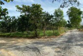 Chính chủ cần bán vườn bưởi giá f0 chỉ 920 triệu mặt tiền đường xe hơi, gần khu dân cư