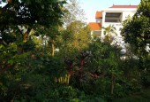 Biệt thự trang trại hơn 3000m2 tại Phú Thọ, địa chỉ lý tưởng để nghỉ dưỡng vừa là cơ hội kinh doanh lớn