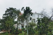 Bán căn biệt thự trang trại hơn 3000m2 tại Phú Thọ, địa chỉ lý tưởng để nghỉ dưỡng vừa là cơ hội kinh doanh lớn