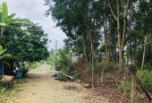 Cần bán lô đất 166m2 có thổ cư gần cổng Tân Hiệp xã Phước Thái, Long Thành chỉ 1,3 tỷ