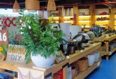 SỞ HỮU BĐS TÂN BÌNH CHỈ VỚI 285 TRIỆU