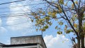 ĐẤT KHU BÀN CỜ TÂN HIỆP CẦN BÁN GẤP TRONG TUẦN