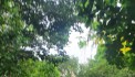 Chính chủ, cần bán biệt thự quân đội Thạch Bàn
