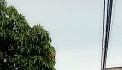 Lô đất 8x16 chỉ 2t4 ngay 2 mặt tiền BHH B. chủ bán gấp đi nước ngoài