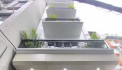 SỐC - HOA HẬU VŨ TÔNG PHAN - THANH XUÂN - BÁN GẤP - 46M2 - 5 TẦNG - NỘI THẤT LUNG LINH - NHỈNH 4 TỶ