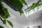chủ gấp bán nhà đường hoàng văn thụ phường 12  quận  tân bình.
 GIÁ NHỈNH 10