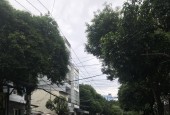 Bán nhà mặt tiềm kinh doanh sầm uất nhất khu vực, Phú Thọ Hòa, Tân Phú