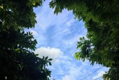 Chính chủ giao bán nhà Ngô  Thì Sỹ,  trung tâm quân Hà Đông,an sinh cực đỉnh 4 tầng 4,5 tỷ