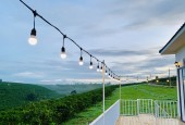 Đất nền Bảo Lộc Garden Hill - Chỉ 550 triệu/nền - 5 phút qua hồ DakLong Thượng - Sổ hồng trao ngay