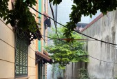 Cho thuê biệt thự đẹp nhất phố Đào Tấn, DT 200m2 (90m2 x 3 tầng), MT 11m, giá 30 triêu