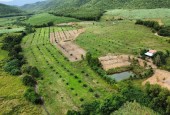 Vườn cây ăn trái ở Ninh Sơn, Tx. Ninh Hoà 8,6 hecta giá chỉ 8,6 tỷ