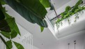 chủ gấp bán nhà đường hoàng văn thụ phường 12  quận  tân bình.
 GIÁ NHỈNH 10