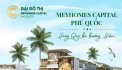 Cần bán shophouse Meyhomes - sổ hồng lâu dài - căn góc - Diện tích lớn - Ngân hàng hỗ trợ 70%