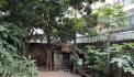Cho thuê biệt thự đẹp nhất phố Đào Tấn, DT 200m2 (90m2 x 3 tầng), MT 11m, giá 30 triêu